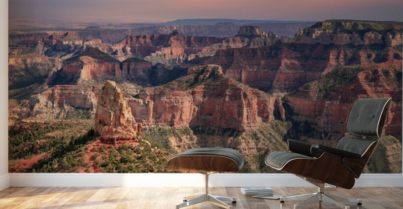 North Rim View Wall Murals