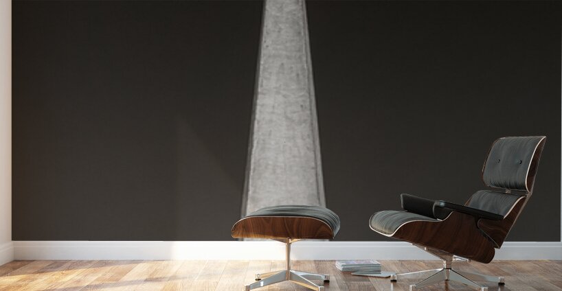 Through the Needle Wall Murals