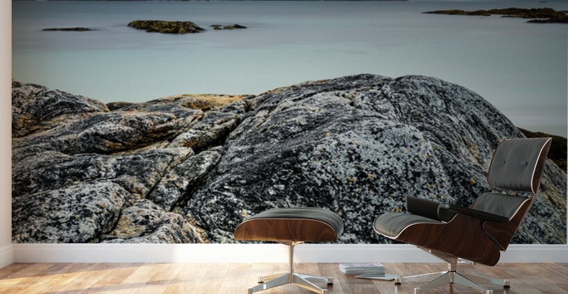 Harris View Wall Murals