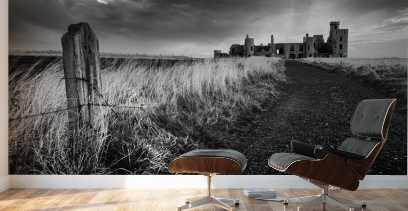 Path to Slains Castle Wall Murals
