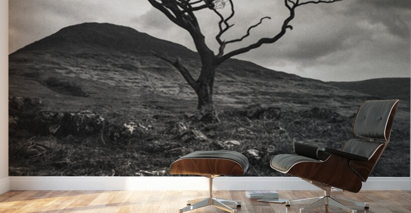 Mull Solitude Wall Murals