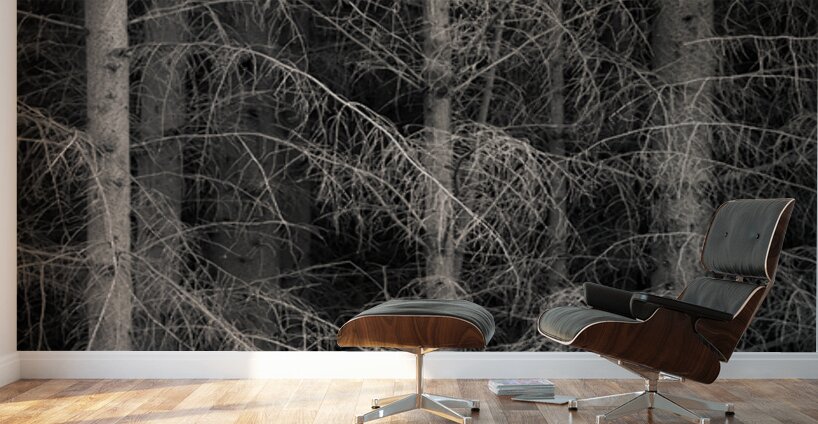 The Edge of Silence Wall Murals