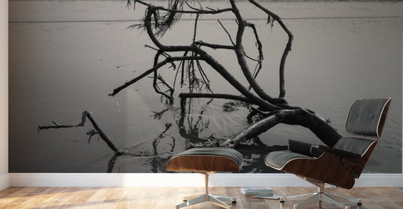 Washed Ashore Wall Murals