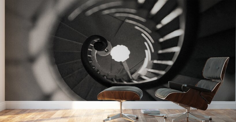 Plas Newydd Spiral Staircase Wall Murals