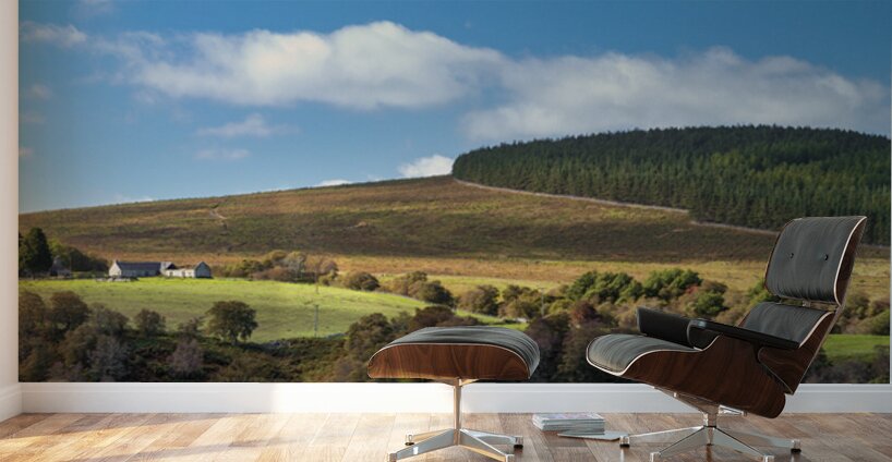 Late Summer in the Cairngorms Wall Murals