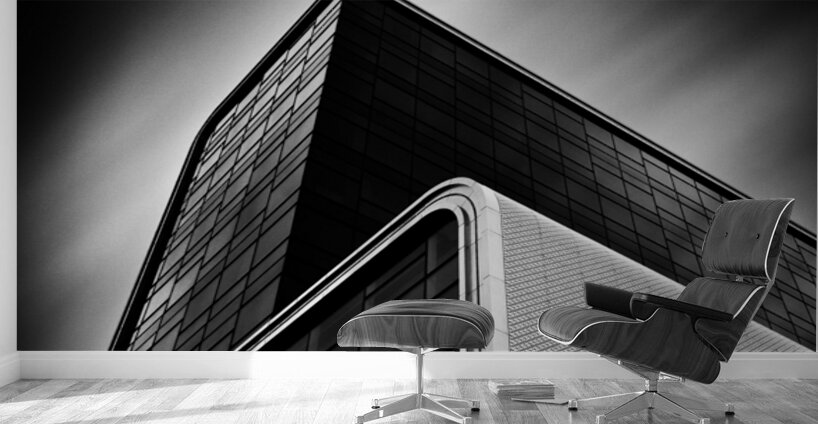 The RAI II Wall Murals