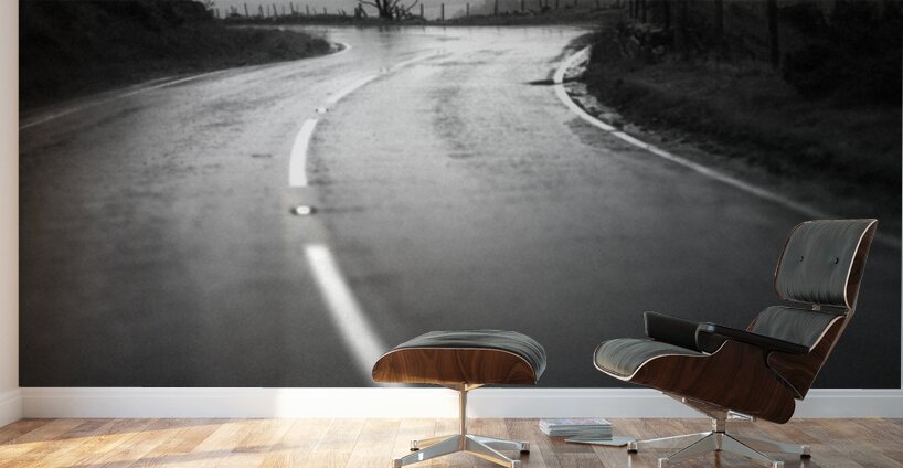 A Wet Day in Snowdonia Wall Murals