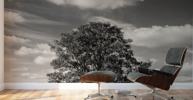 Burghley Oak Wall Murals