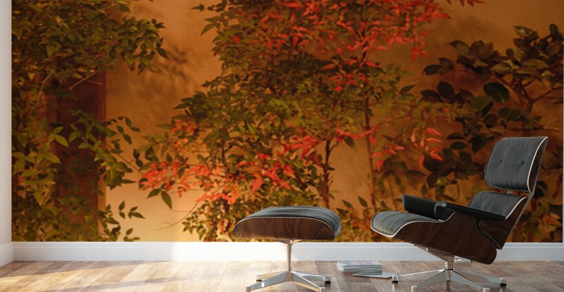 Garden Lantern Wall Murals