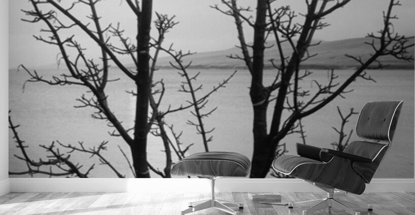 Islay Tree Wall Murals