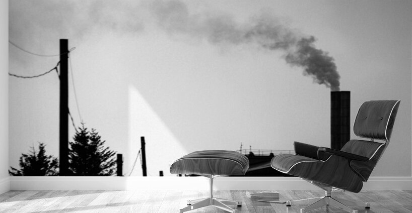 Port Ellen Maltings Wall Murals