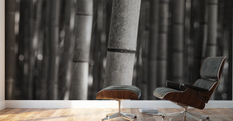 Arashiyama Bamboo Wall Murals