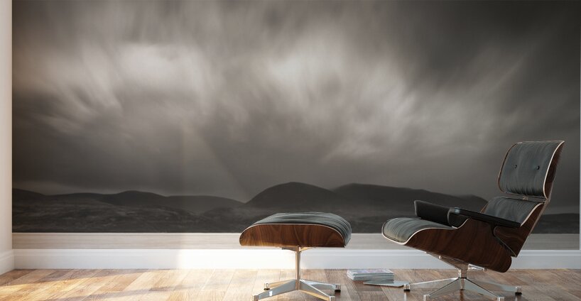 Skipness Sticks Wall Murals