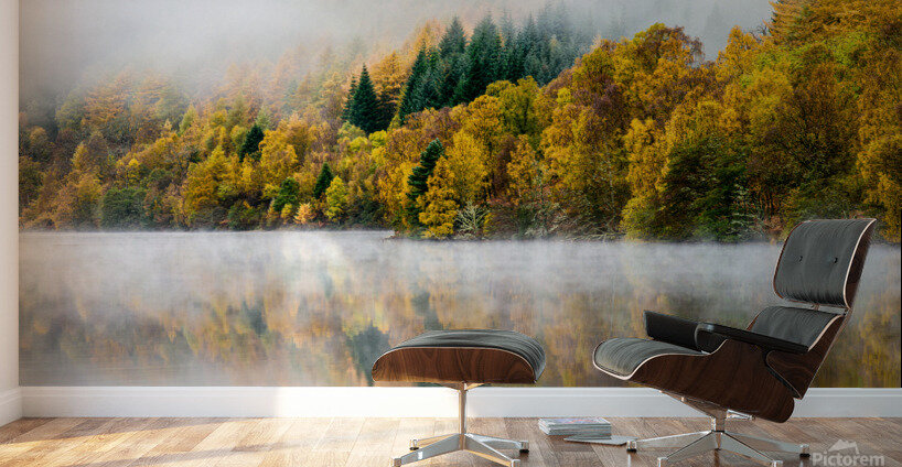 Autumn Mist Wall Murals