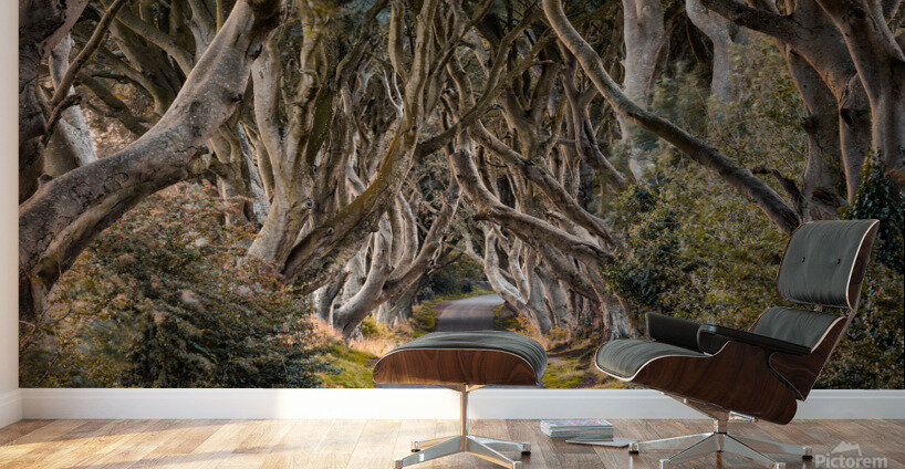 The Dark Hedges Wall Murals