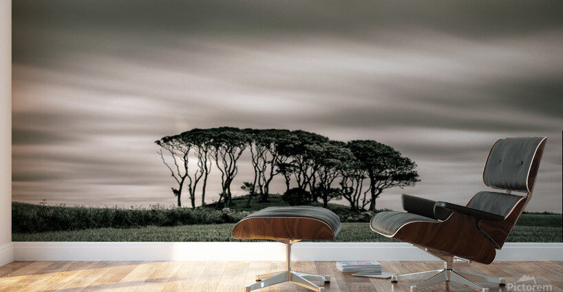 Crawton Copse Wall Murals