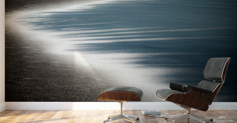 Ebb and Flow Wall Murals