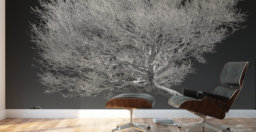 Highland Tree and Peak Wall Murals
