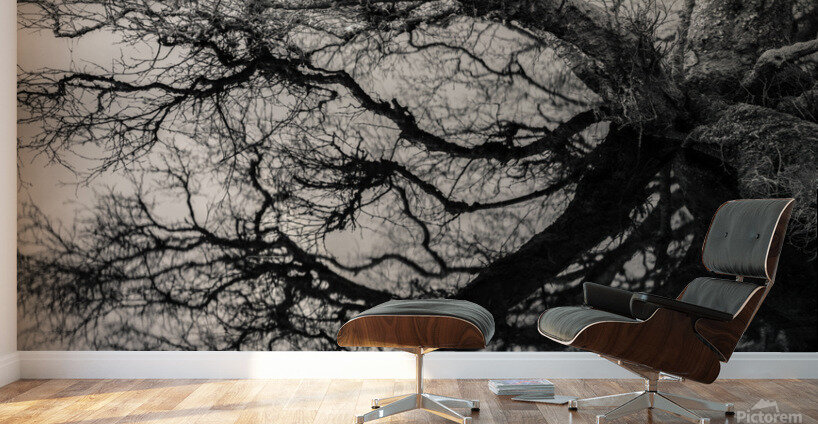 Lochan Na Cuilce Reflections Wall Murals