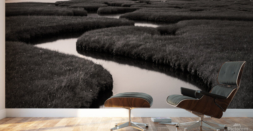 Northton Saltmarsh Wall Murals