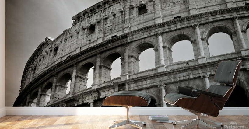 Colosseum Wall Murals