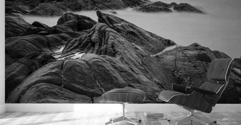 View from Firemore Beach Wall Murals