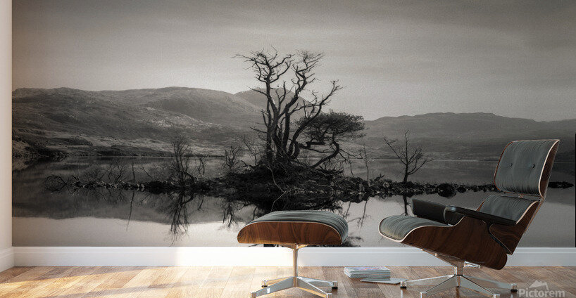 Loch Assynt Reflection Wall Murals