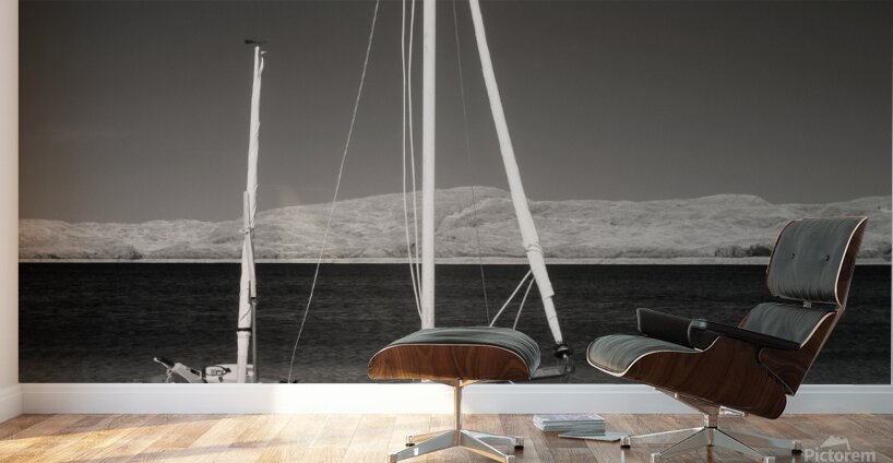 Dumble Dory Wall Murals