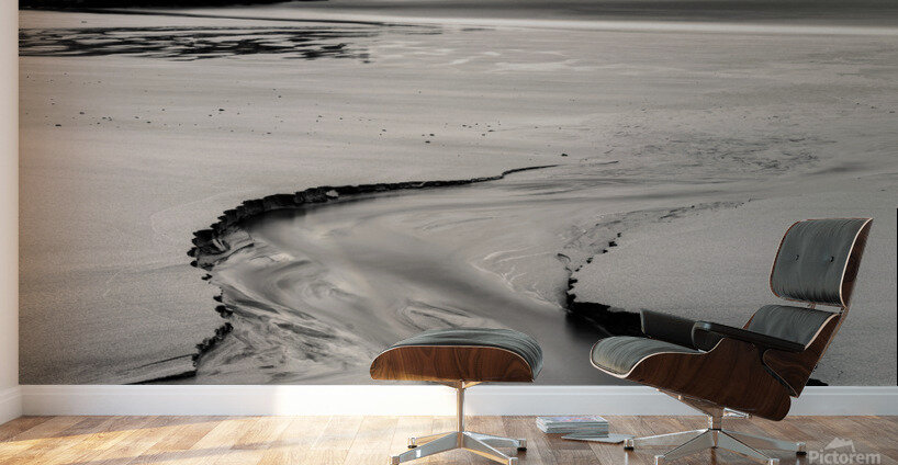 Beach Rivulet Wall Murals