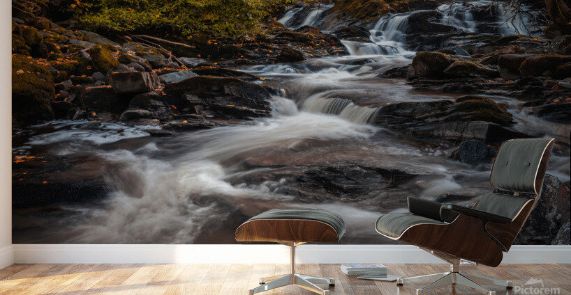 Ardeonaig Burn Wall Murals