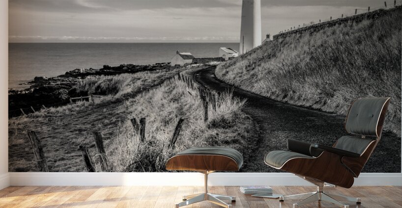 Road to Scurdie Ness Wall Murals