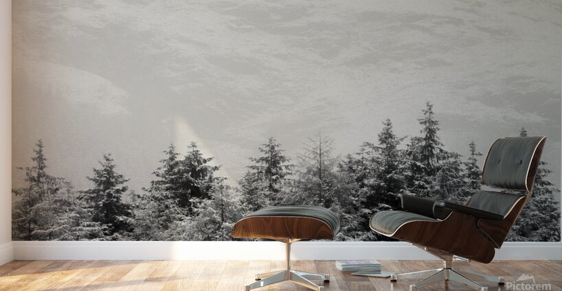 Snowcapped Firs Wall Murals