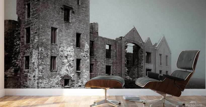 Slains in the Fog Wall Murals