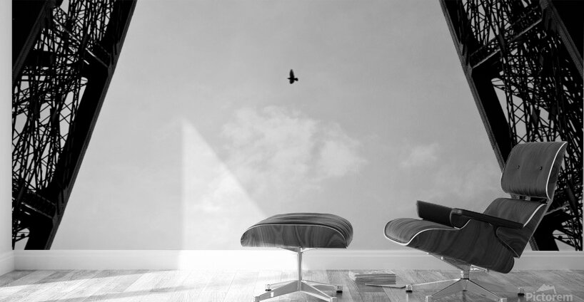 Birds-Eye View Wall Murals