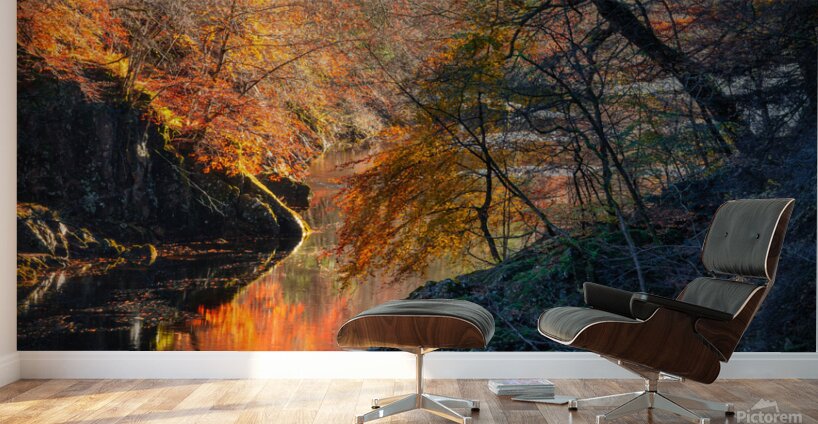 Autumn on River Garry Wall Murals