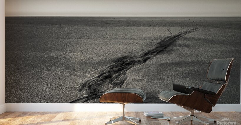 Seilebost Sand Tracks Wall Murals