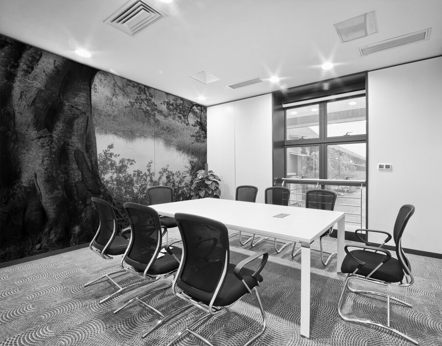 Summer Pond Wall Printing