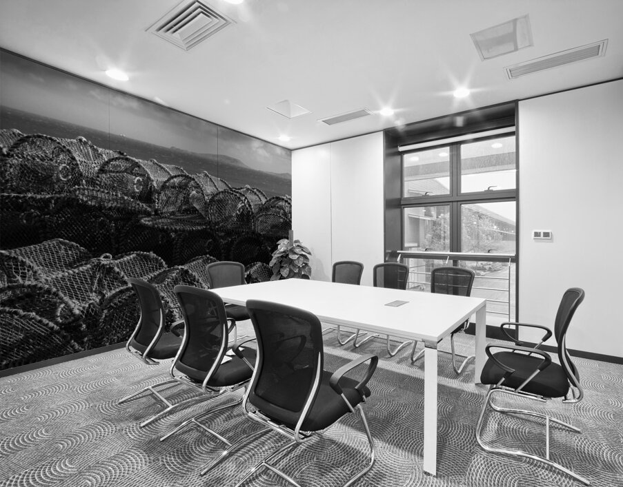 Barra Creel Nets Wall Printing