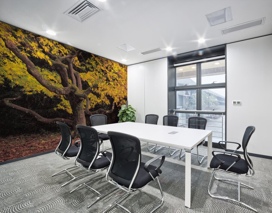 Japanese Maple at Autumn Wall Printing