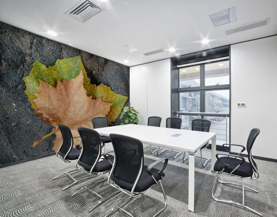 Two Autumn Leaves Wall Printing