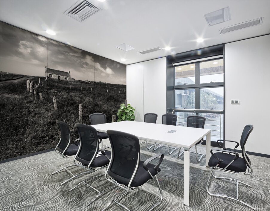Abandoned Cottage on South Uist Wall Printing