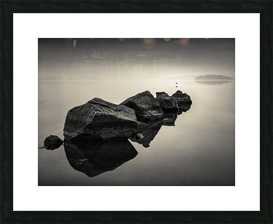 Dawn Flight Picture Frame print