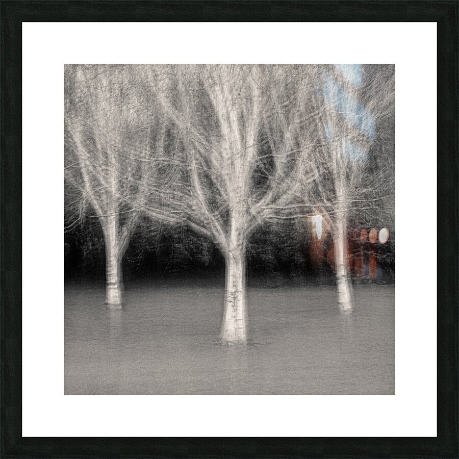 Three Trees Impression et Cadre photo