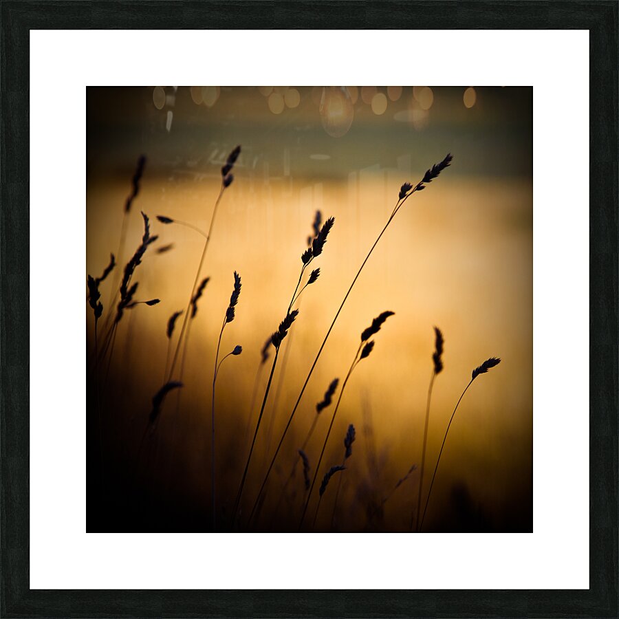 The Field Picture Frame print