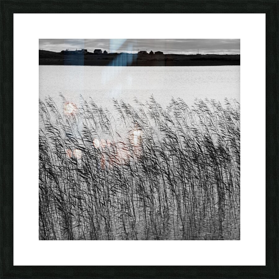 Uist Reeds Picture Frame print