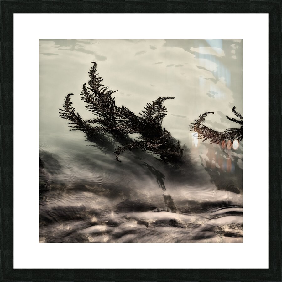 Water Fronds Picture Frame print