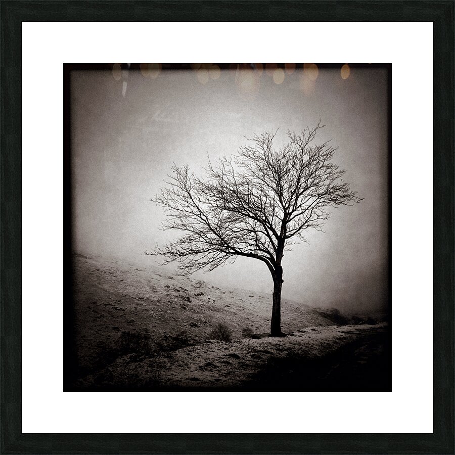 Winter Tree Picture Frame print