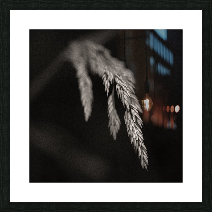 Woodland Study 7 Picture Frame print