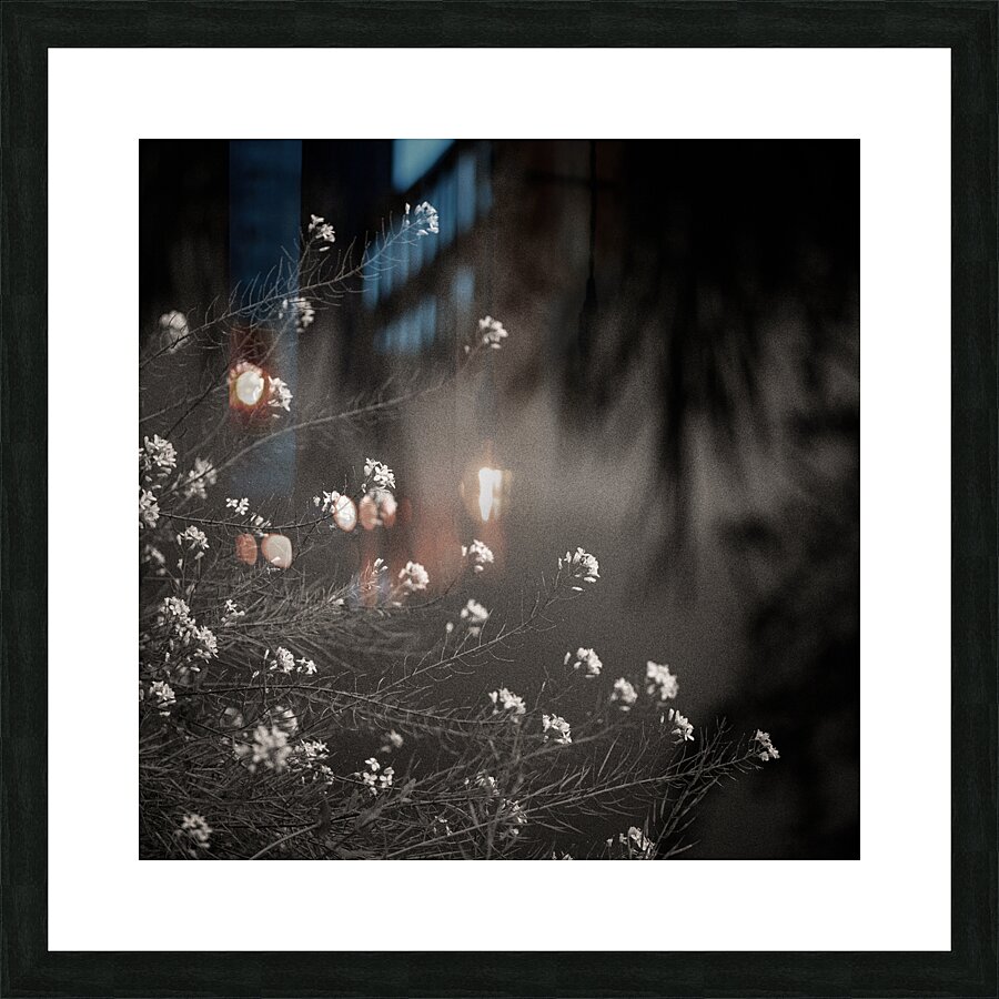 Woodland Study 12 Picture Frame print