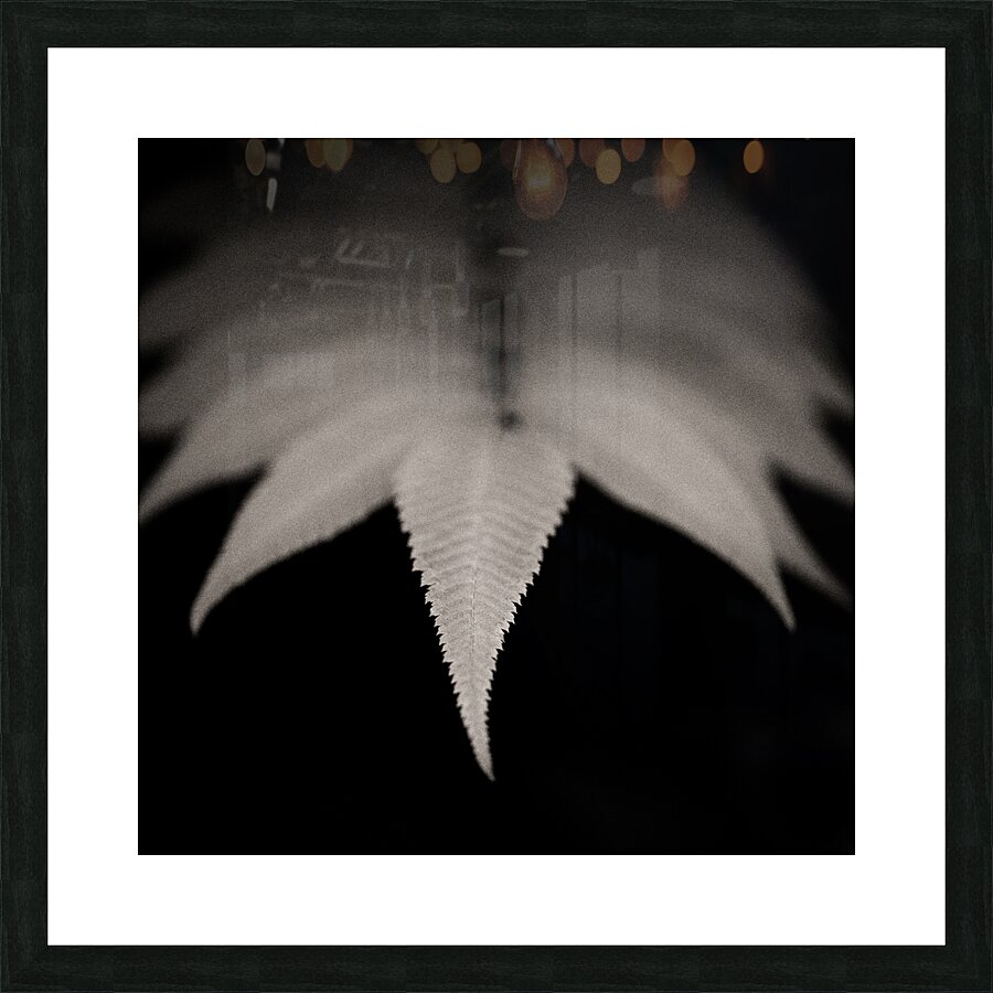 Woodland Study 8 Impression et Cadre photo